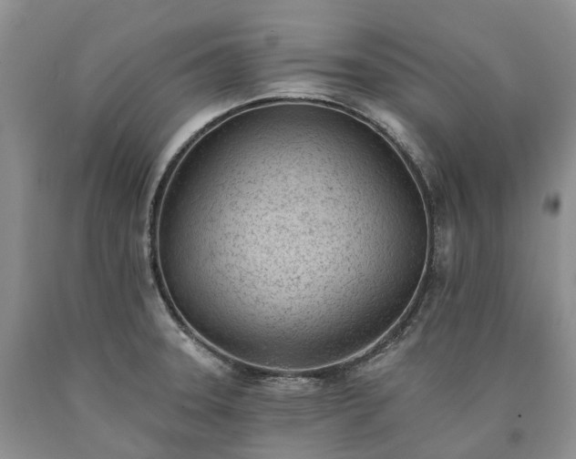 X0000090461331200707201326