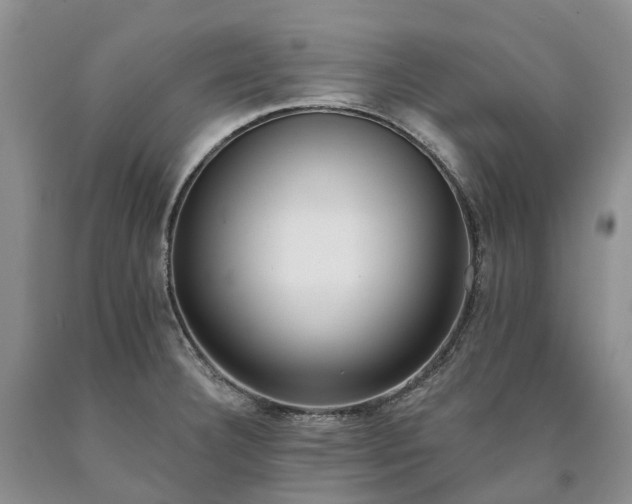 X0000090461332200707201326