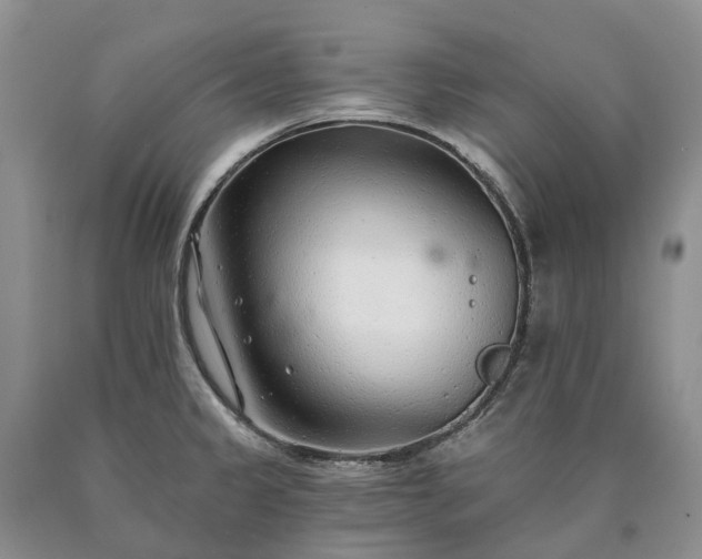 X0000090461333200707201326