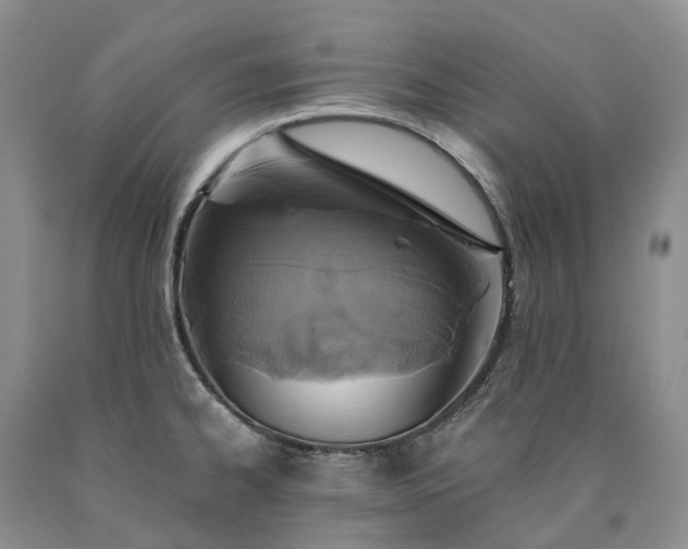 X0000090461334200707201326