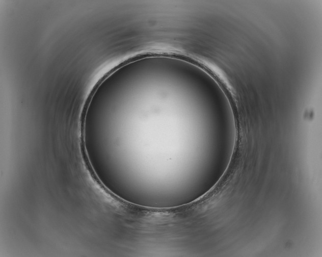 X0000090461335200707201326