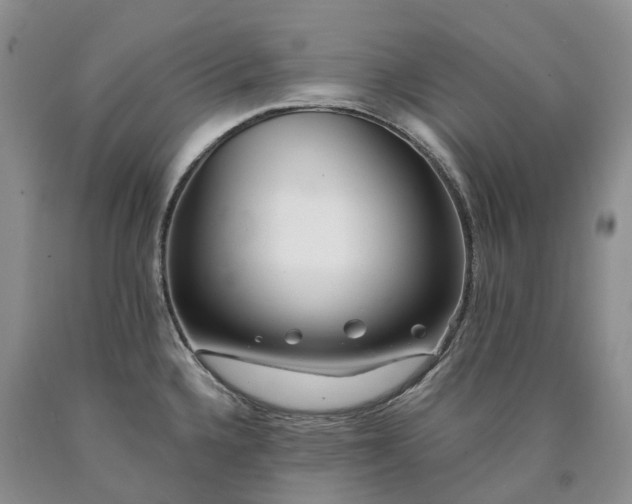X0000090461336200707201326
