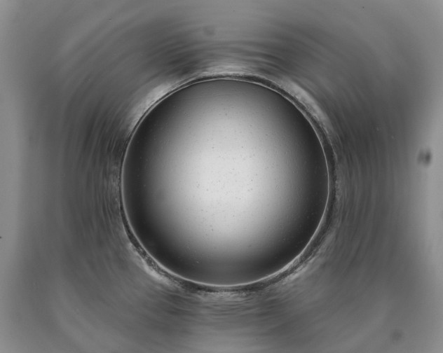 X0000090461337200707201326