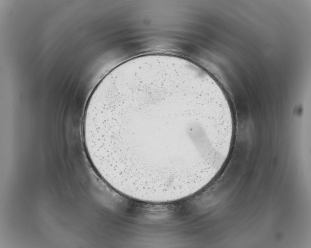X0000090461338200707201326