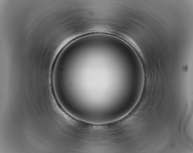 X0000090461339200707201326