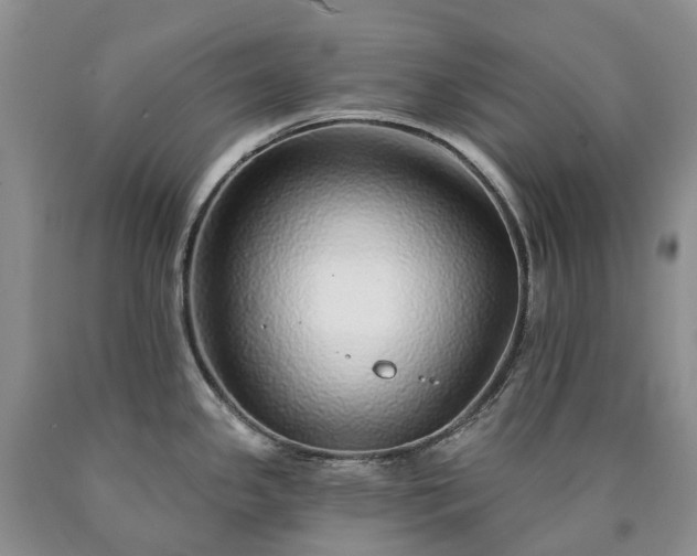 X0000090461341200707201326