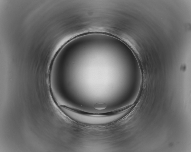 X0000090461342200707201326