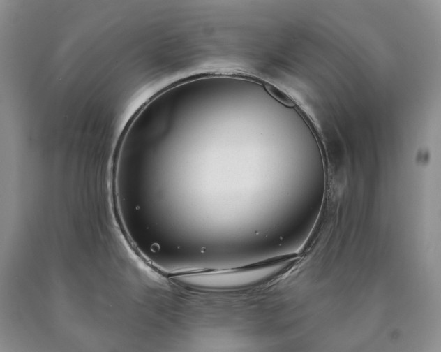 X0000090461343200707201326