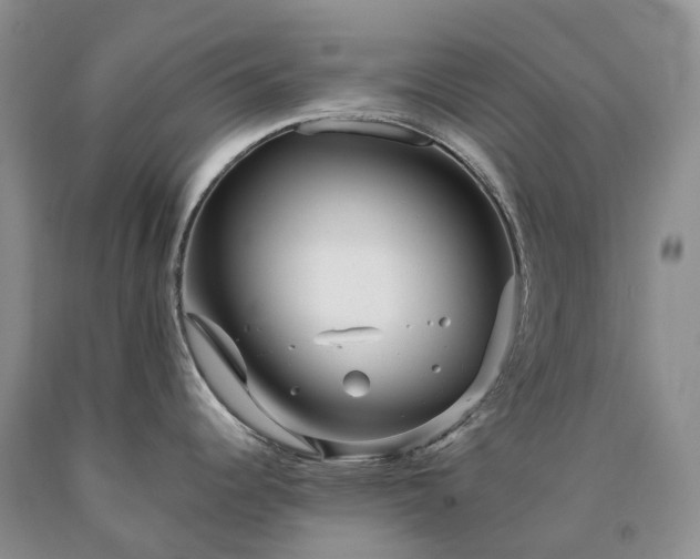 X0000090461344200707201326