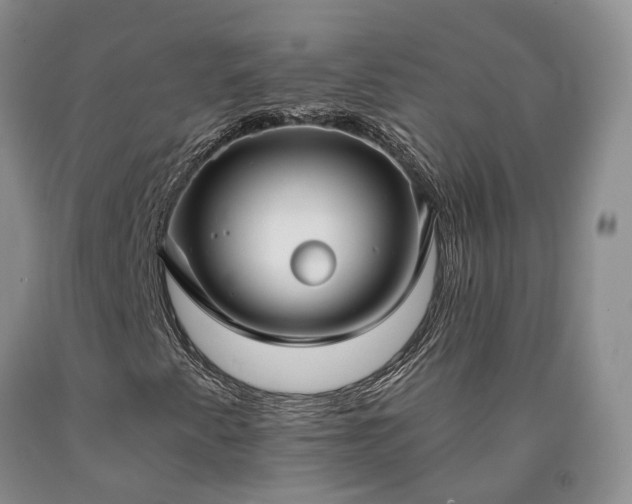 X0000090461345200707201326