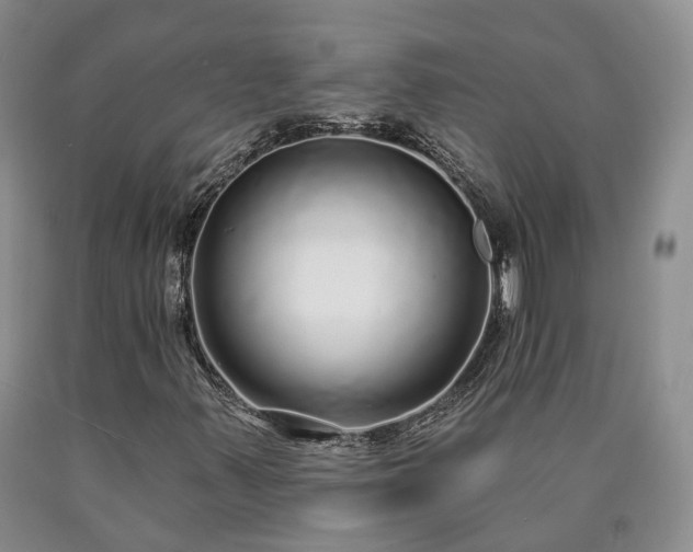 X0000090461347200707201326