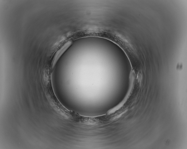 X0000090461348200707201326