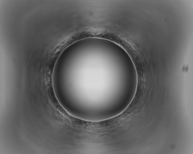 X0000090461349200707201326