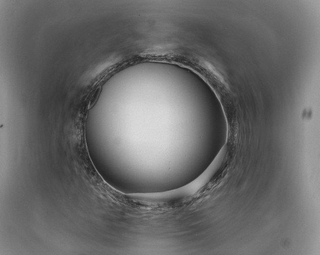 X0000090461350200707201326