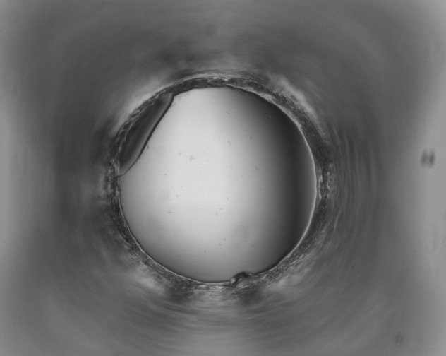 X0000090461352200707201326