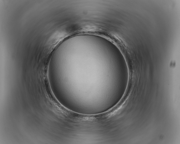 X0000090461353200707201326