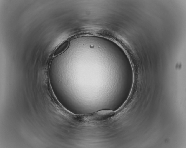 X0000090461354200707201326
