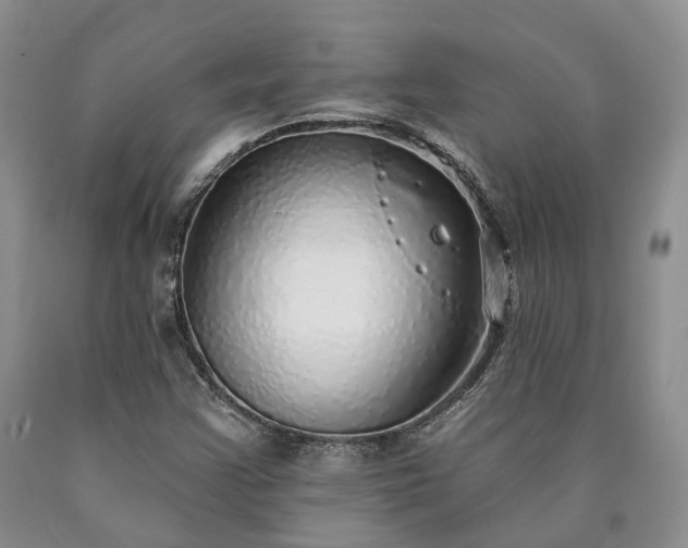 X0000090461355200707201325