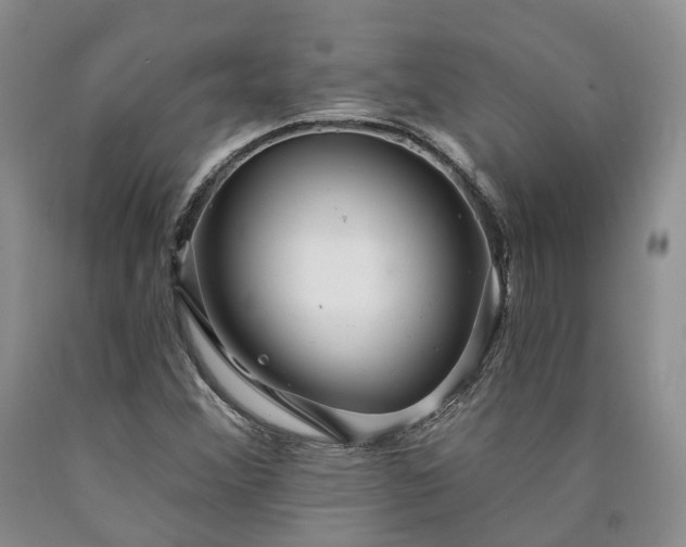 X0000090461356200707201325