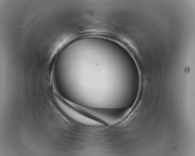 X0000090461357200707201325