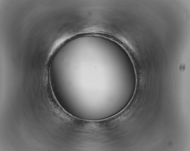 X0000090461358200707201325