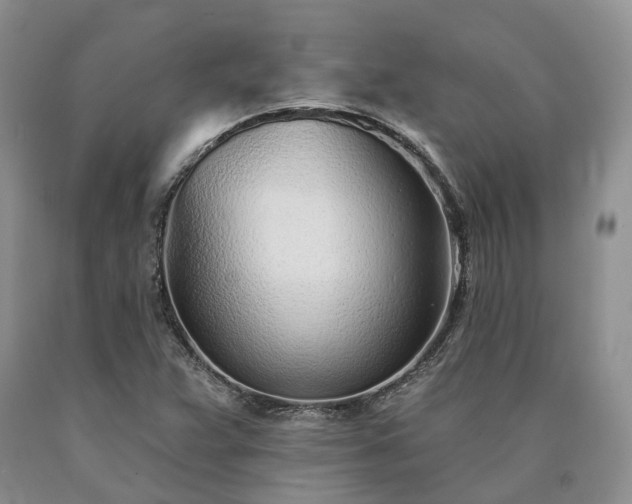 X0000090461359200707201325
