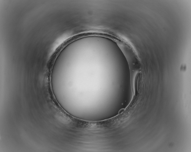X0000090461360200707201325