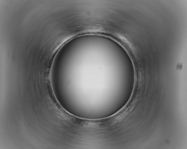 X0000090461361200707201325