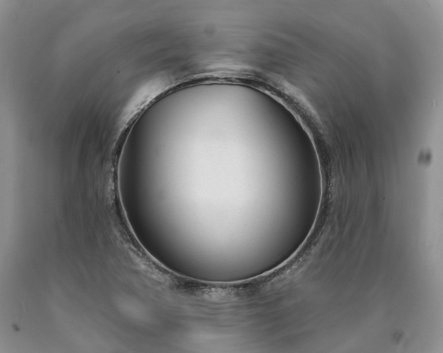 X0000090461362200707201325