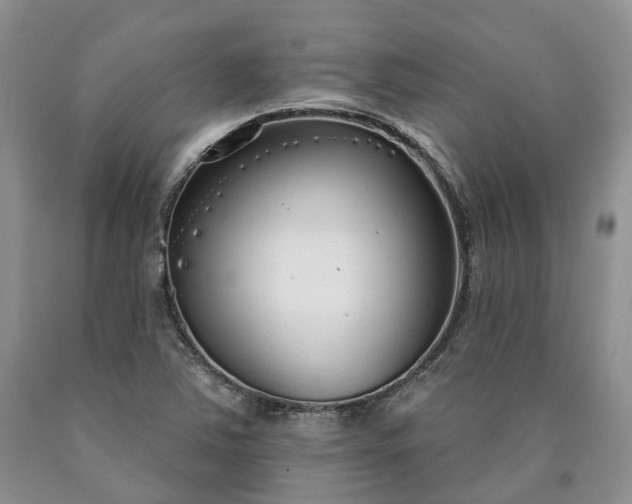 X0000090461363200707201325