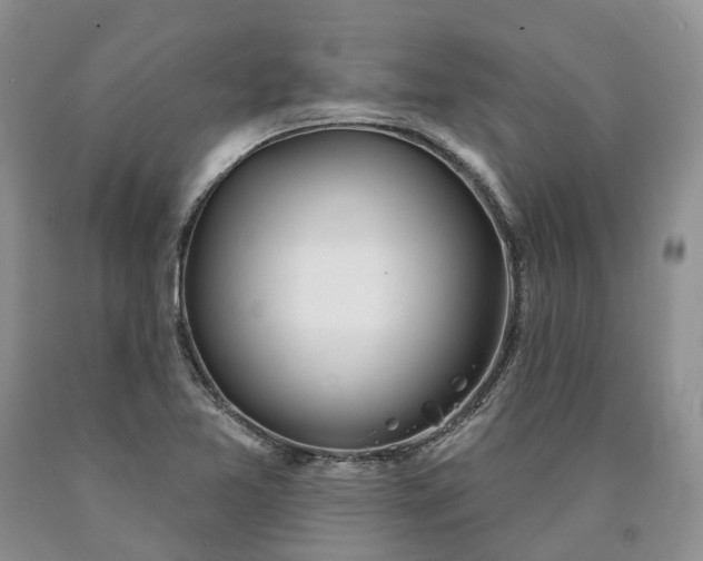 X0000090461365200707201325