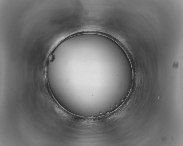 X0000090461366200707201325