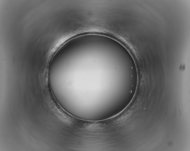 X0000090461367200707201325
