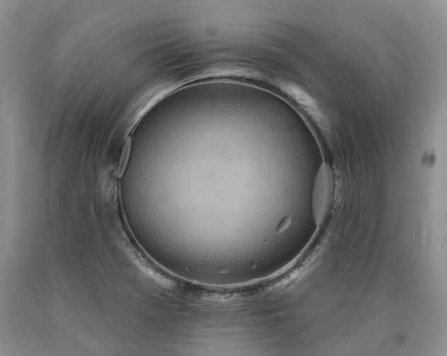 X0000090461369200707201325