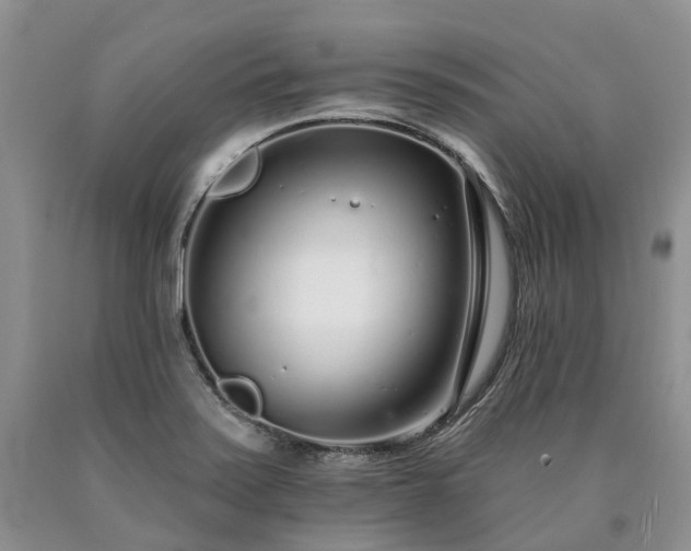 X0000090461371200707201325