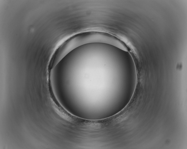 X0000090461372200707201325