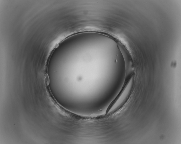 X0000090461373200707201325