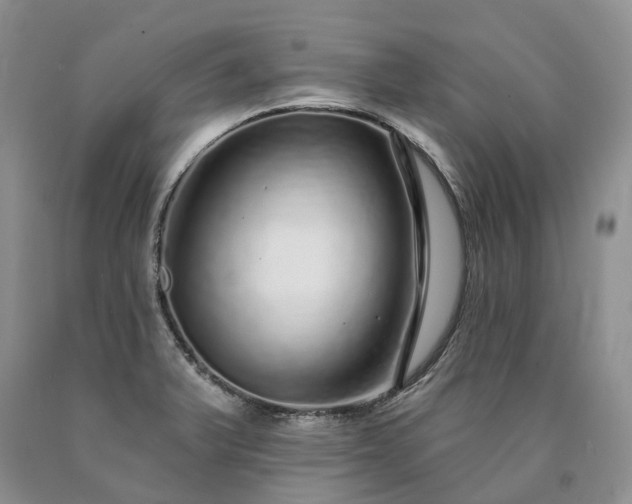 X0000090461375200707201325