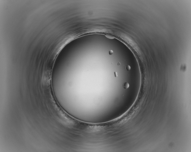X0000090461377200707201325
