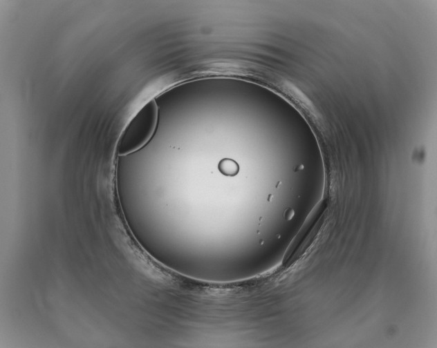 X0000090461378200707201325
