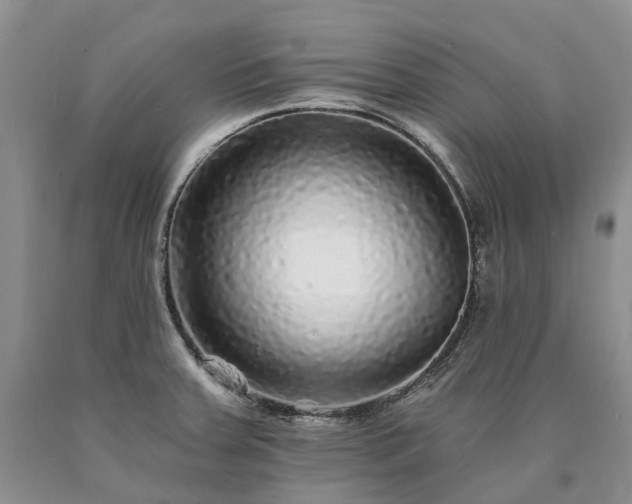 X0000090461379200707201325