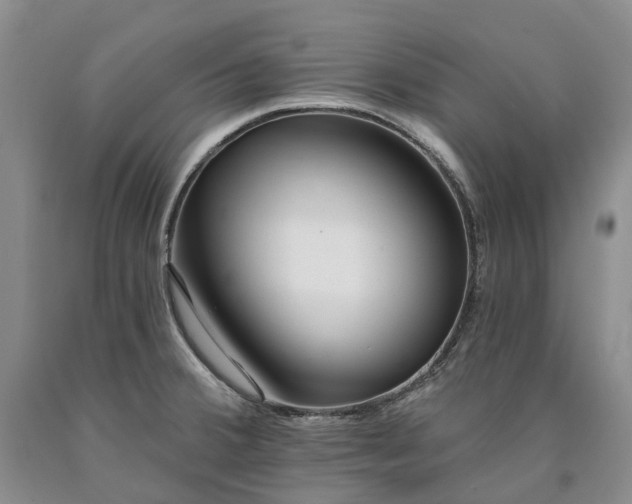 X0000090461380200707201325