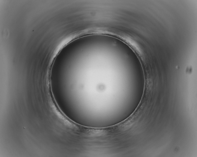 X0000090461382200707201325