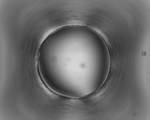 X0000090461383200707201325