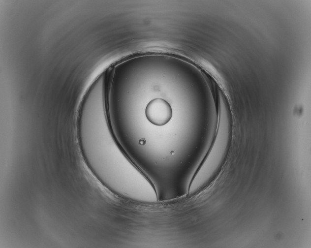 X0000090461384200707201325