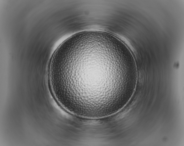 X0000090461387200707201325