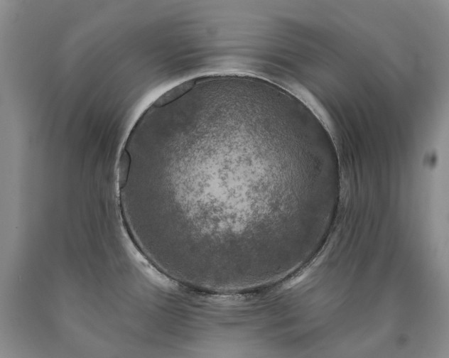 X0000090461388200707201325