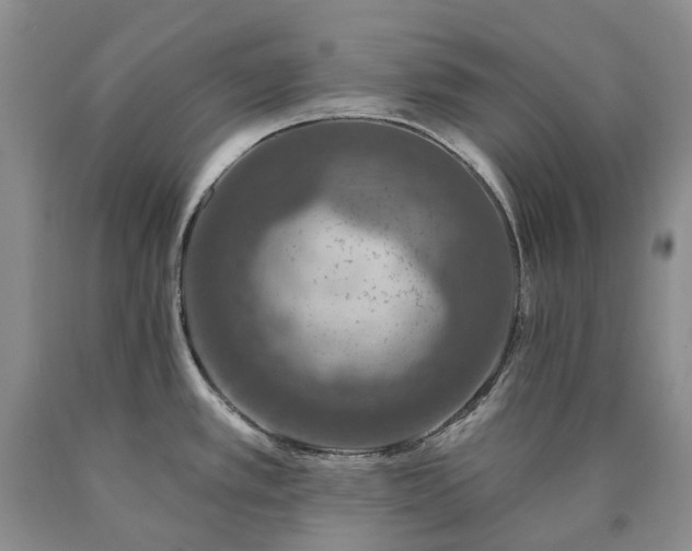 X0000090461389200707201325