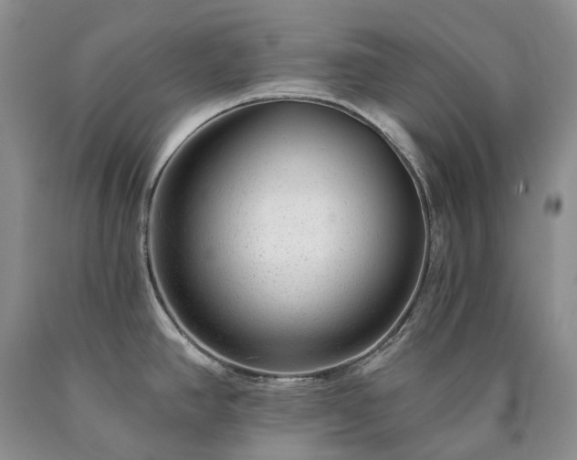 X0000090461390200707201325
