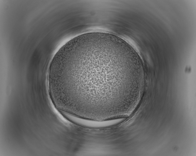 X0000090461391200707201325
